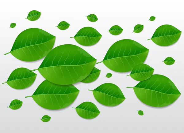 Tle zielonych liści natura — Wektor stockowy