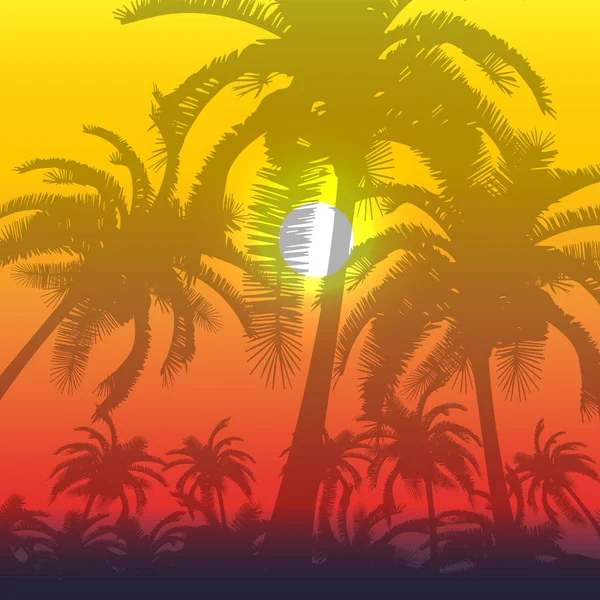 Palm silhouet achtergrond — Stockvector