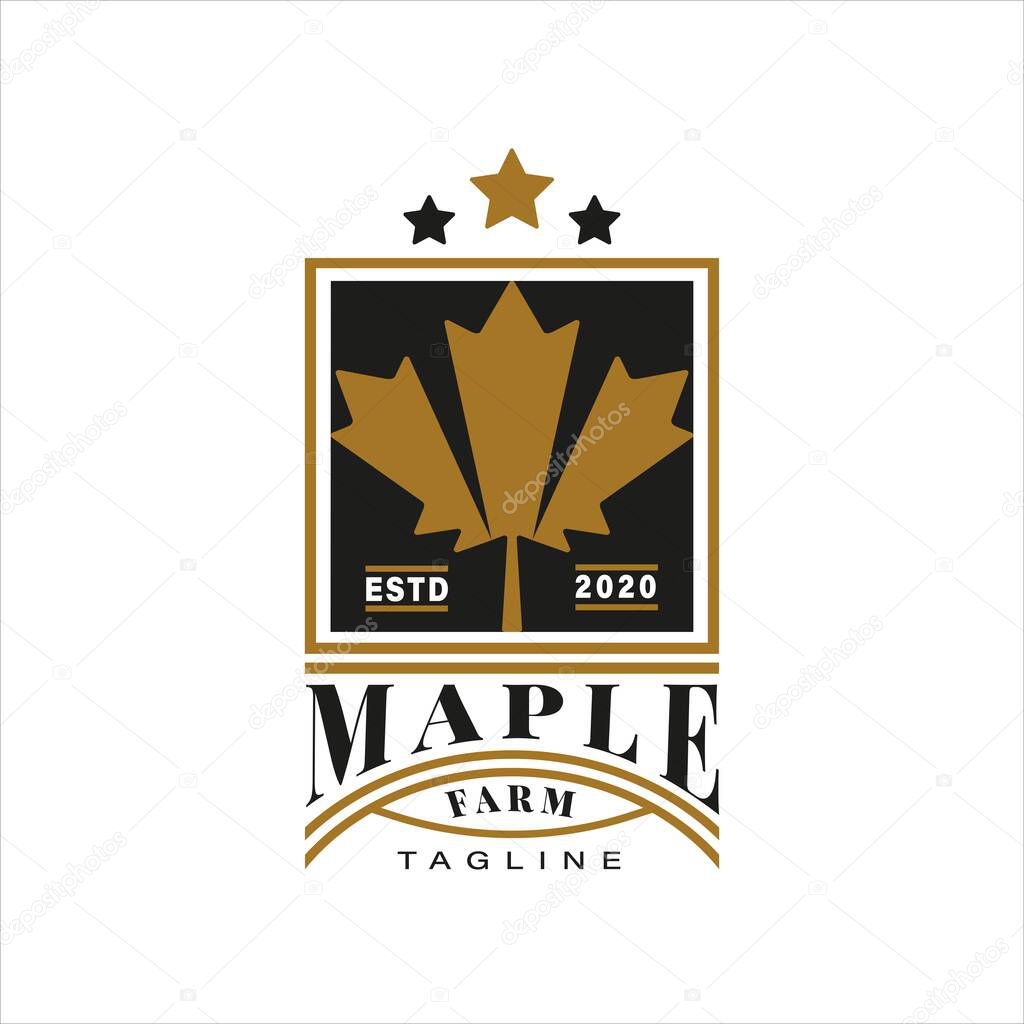 Vintage Retro Logo Style for Maple Farm Logo Design. With Maple leaf on gold color and three stars icon. Luxury and Premium Logo