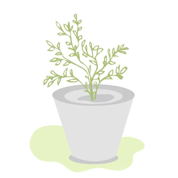 Hermosa planta ornamental para jardín y hogar, árbol y follaje en una maceta aislada sobre un fondo blanco. — Vector de stock