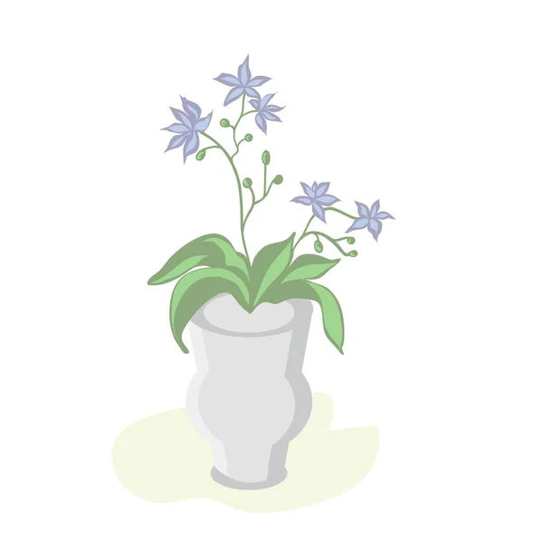 Ορχιδέα Phalaenopsis houseplant, εικονογράφηση φορέα λουλουδιών σε γλάστρα — Διανυσματικό Αρχείο
