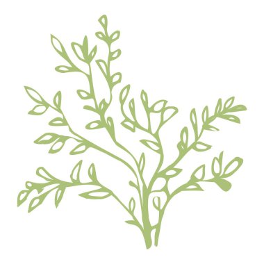 Botanik çizimi. Çayır yeşillikleri en az logo, soyut yaprak ve çiçek açan eskiz elementi,.