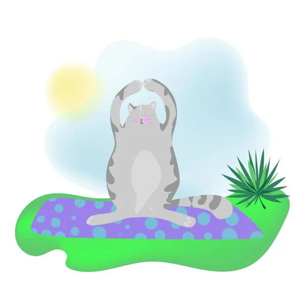 Le chat Moon est engagé dans la remise en forme dans l'air frais, des cours de yoga sur le tapis. — Image vectorielle