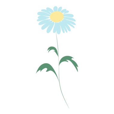 Papatya çiçeği, çizgi çizimi. Papatya kır çiçekleri, beyaz arka planda izole edilmiş çiçek tasarımı unsurları..