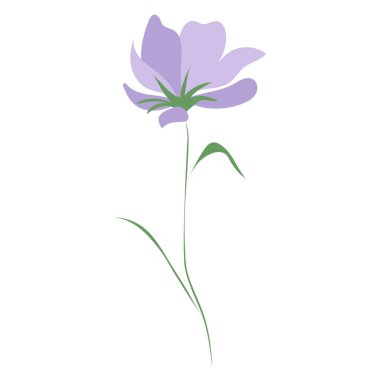 Yabani çiçekler, beyaz arka planda izole edilmiş çiçek tasarımı unsurları. El çizimi çiçekler, tomurcuklar ve yapraklar.