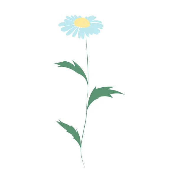 Papatya çiçeği, çizgi çizimi. Papatya kır çiçekleri, beyaz arka planda izole edilmiş çiçek tasarımı unsurları.. — Stok Vektör