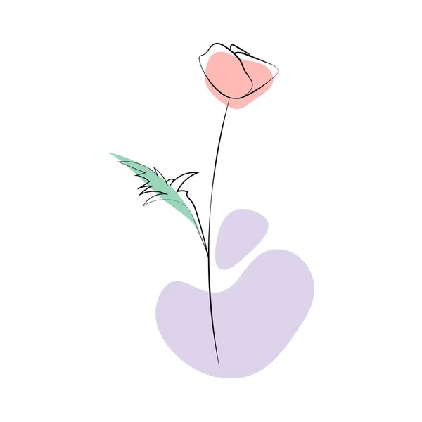 野生の花、白い背景に隔離されたアウトラインの花のデザイン要素。手描きの花、蕾、葉. — ストックベクタ