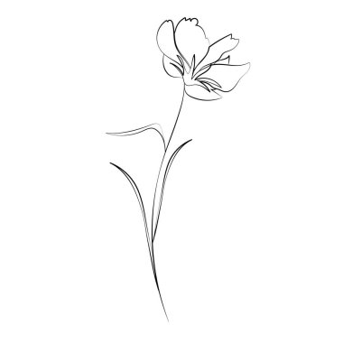 Yabani çiçekler, beyaz arka planda izole edilmiş çiçek tasarımı unsurları. El çizimi çiçekler, tomurcuklar ve yapraklar.