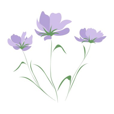 Yabani çiçekler, beyaz arka planda izole edilmiş çiçek tasarımı unsurları. El çizimi çiçekler, tomurcuklar ve yapraklar.