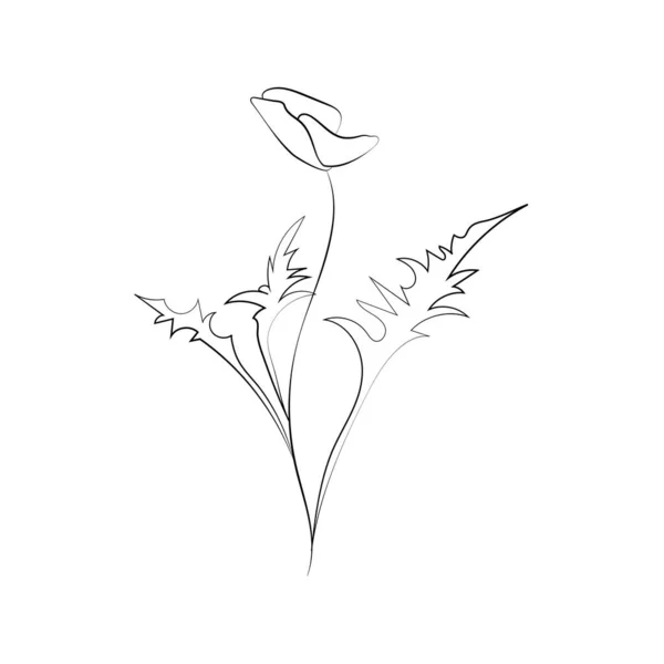 Fleur de pavot, dessin au trait. Fleurs sauvages, contour floral éléments de conception isolés sur fond blanc, — Image vectorielle