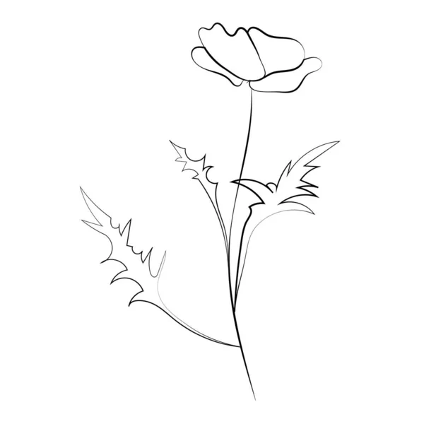 Flor de papoula, desenho de linha. Flores silvestres, esboço de elementos de design floral isolado no fundo branco, — Vetor de Stock