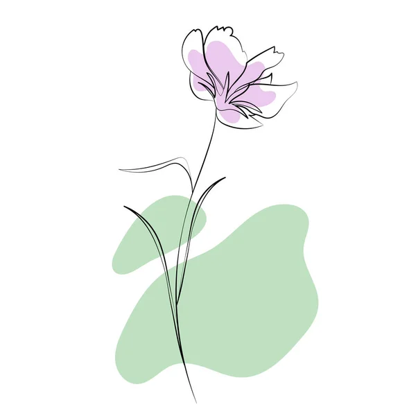 Αγριολούλουδα, περίγραμμα στοιχεία floral σχεδιασμό απομονώνονται σε λευκό φόντο. Άνθη, μπουμπούκια και φύλλα ζωγραφισμένα στο χέρι. — Διανυσματικό Αρχείο