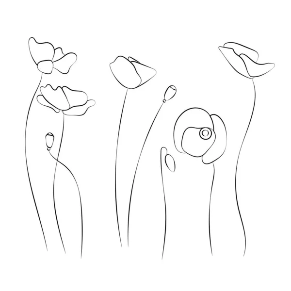 Set fiore di papavero, disegno a linee. Fiori di campo, contorno elementi di design floreale isolati su sfondo bianco, — Vettoriale Stock