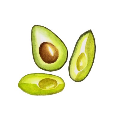 Beyaz arka planda suluboya yeşil taze avokado.