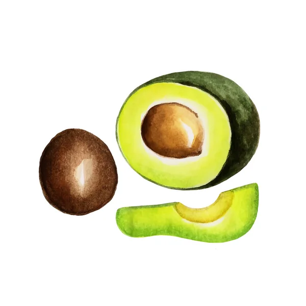 Avocado op een witte achtergrond. — Stockfoto