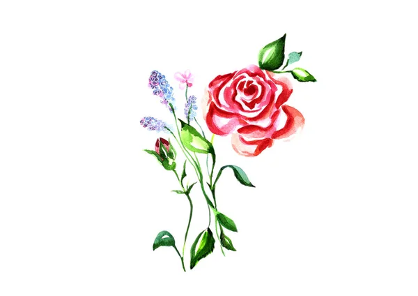 Acuarela rosas dibujadas a mano sobre un fondo blanco. — Foto de Stock