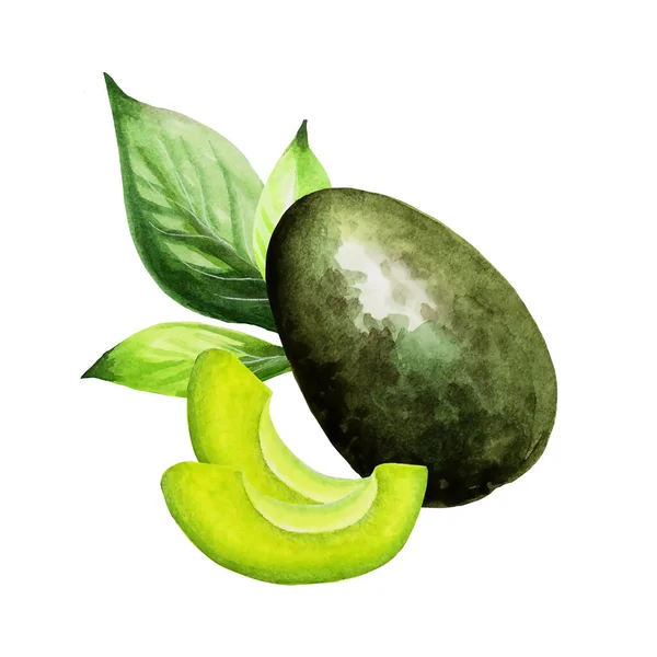 Aquarell grüne frische Avocado auf weißem Hintergrund. — Stockfoto