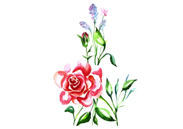 Aquarell handgezeichnete Rosen auf weißem Hintergrund. — Stockfoto