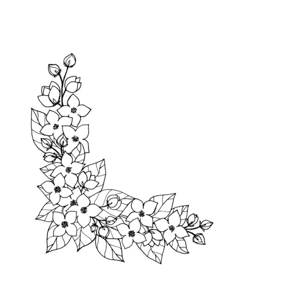 Jasmine Syringa Куст Цветы Угол Рамку Шаблон Черная Линия Искусства — стоковый вектор