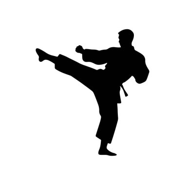 Bir karate dövüşçüsünün silueti dinamik bir duruşta yüksek bir tekme atıyor.