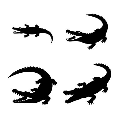 Keskin Timsah Ağız vektör silueti açıyor