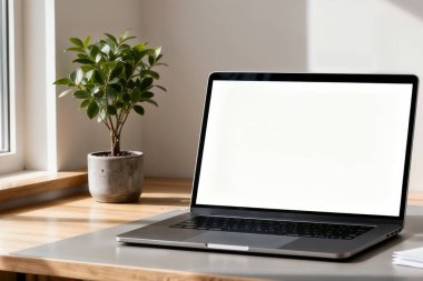 Laptop ve Doğal Işıklı Minimalist Çalışma Alanı