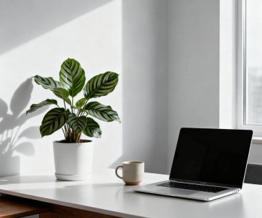 Laptop bitkisi ve kahveyle İçişleri Bakanlığının masasını temizle.