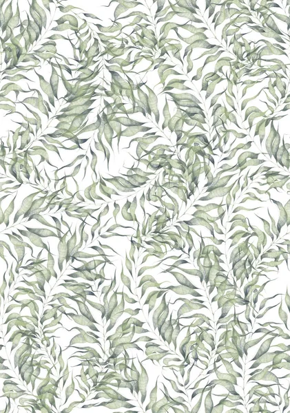 Акварельний безшовний візерунок з пальмою або листям верби на білому тлі. Ручна пофарбована гілка екзотичної зелені. Ботанічна ілюстрація для дизайну, друку, тла . — стокове фото