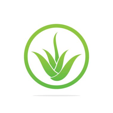 Aloe Vera logo şablonu. Yeşil yaprak aloe vera etiketi