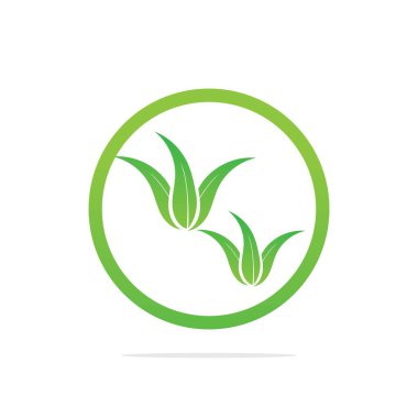 Aloe Vera logo şablonu. Yeşil yaprak aloe vera etiketi