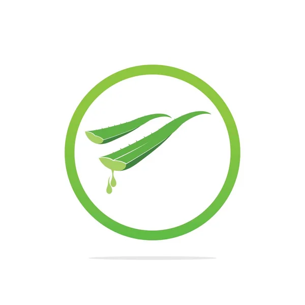 Plantilla Logo Aloe Vera Etiqueta Aloe Vera Hoja Verde — Vector de stock