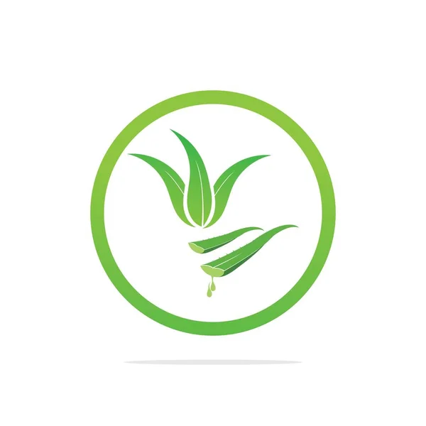 Plantilla Logo Aloe Vera Etiqueta Aloe Vera Hoja Verde — Vector de stock