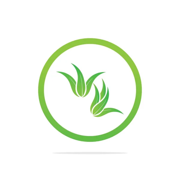 Modèle Logo Aloe Vera Feuille Verte Étiquette Aloe Vera — Image vectorielle