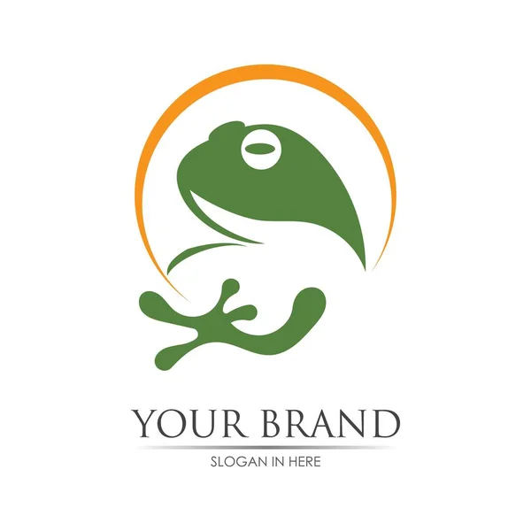 Σχεδιασμός Εικονογράφησης Φορέα Προτύπου Frog Logo — Διανυσματικό Αρχείο