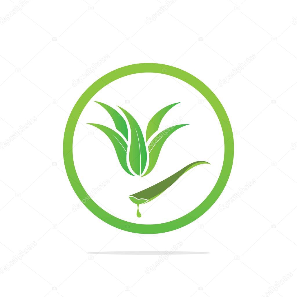 Aloe Vera logo template. Green leaf aloe vera label
