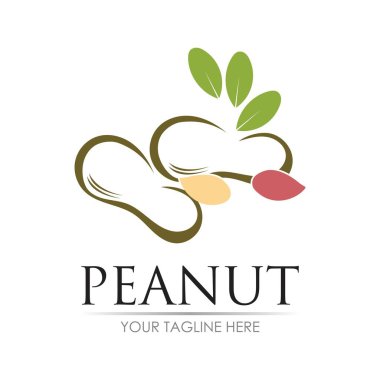 yerfıstığı logo vektör çizim şablonu