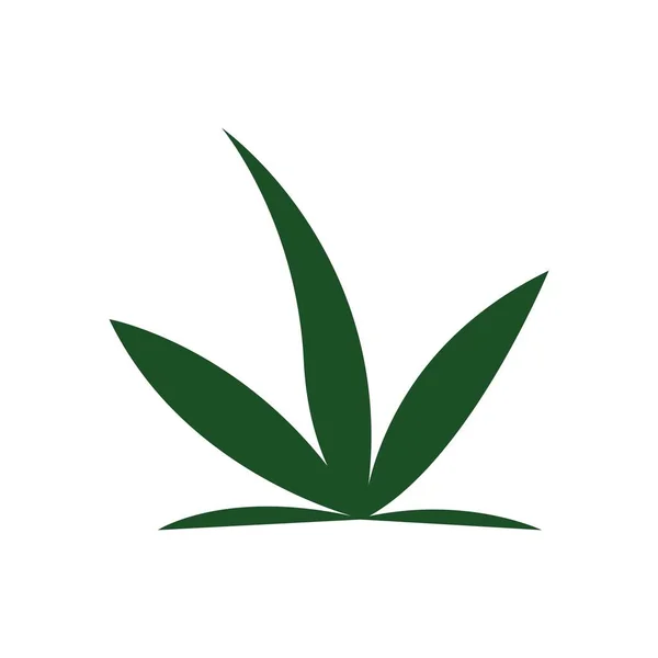Cannabis Folha Vetor Ilustração Ícone Desig — Vetor de Stock