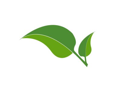 Yeşil ağaç yaprağı ekoloji doğa elementi vektörü logoları
