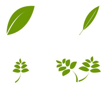 yeşil yaprak logo vektörü