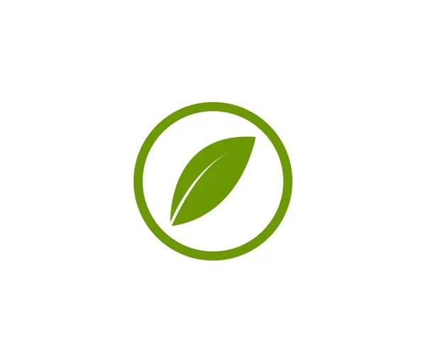 Vettore Logo Foglia Verde — Vettoriale Stock