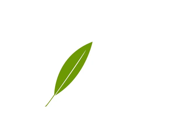 Grön Bladlogotyp Vektor — Stock vektor