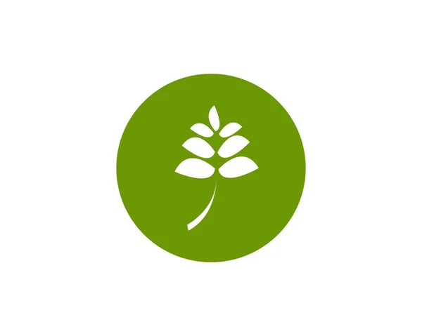 Vector Logotipo Hoja Verde — Archivo Imágenes Vectoriales