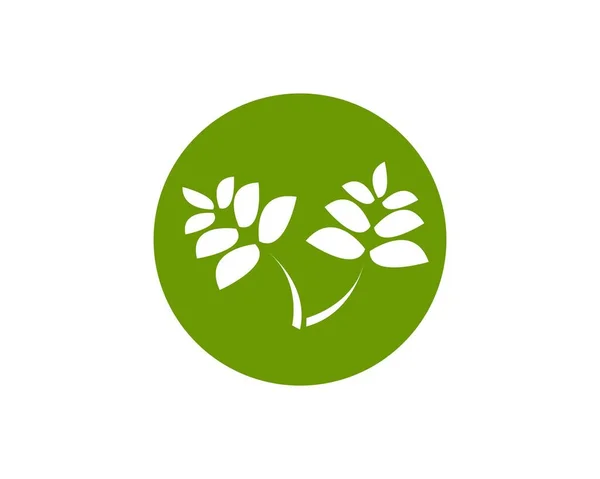 Wektor Logo Zielonego Liścia — Wektor stockowy