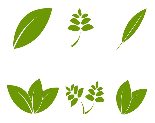 Vector Logotipo Hoja Verde — Vector de stock