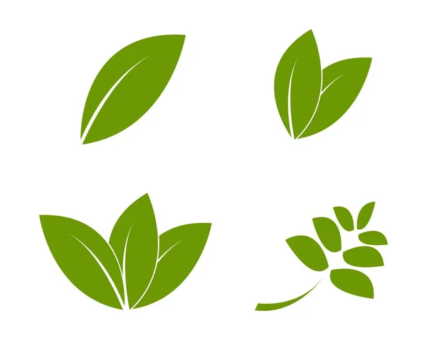 Вектор Логотипа Зеленого Листа — стоковый вектор