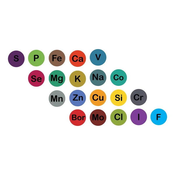 Minerais Microelementos Macroelementos Úteis Para Saúde Humana Fundamentos Alimentação Saudável —  Vetores de Stock