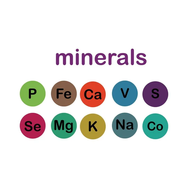 Mineral Unsur Mikro Dan Elemen Makro Berguna Untuk Kesehatan Manusia - Stok Vektor