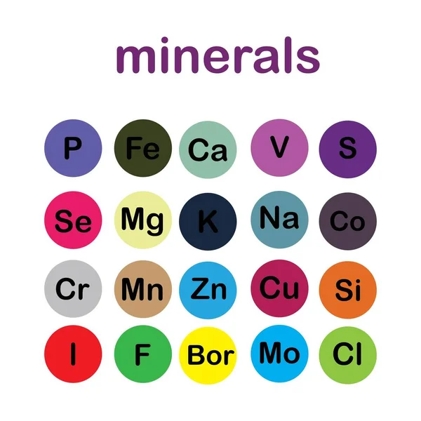 Minerals Microelements Macro Elements Useful Human Health Fundamentals Healthy Eating — Stock Vector