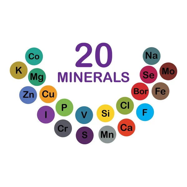 Minerais Microelementos Macroelementos Úteis Para Saúde Humana Fundamentos Alimentação Saudável —  Vetores de Stock