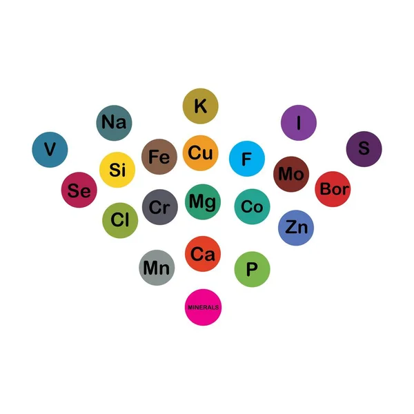 Microelementos Minerales Macroelementos Útiles Para Salud Humana Fundamentos Una Alimentación — Vector de stock